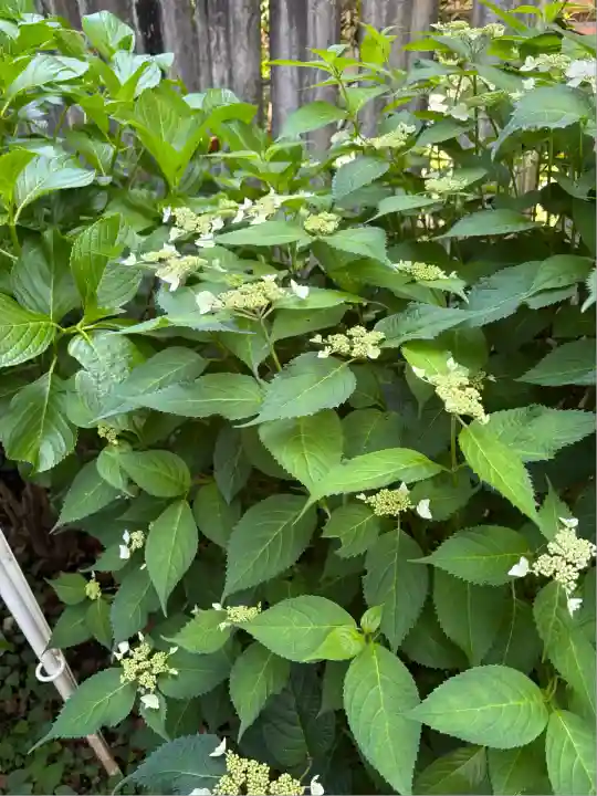 龍宮(江島神社)(神奈川県)
