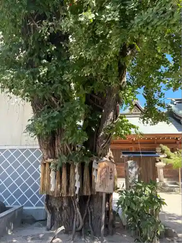 櫛田神社(福岡県)
