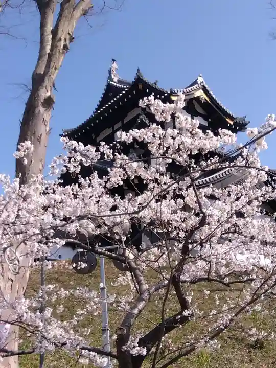 伊部波島大神(新潟県)