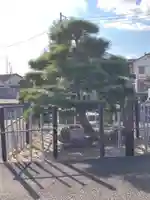 掛松寺(千葉県)