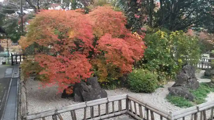 長泉院(埼玉県)