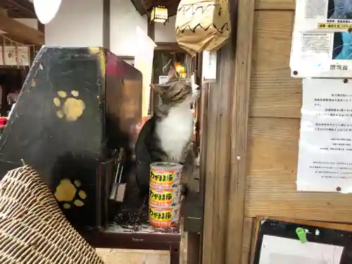 王子神社の動物