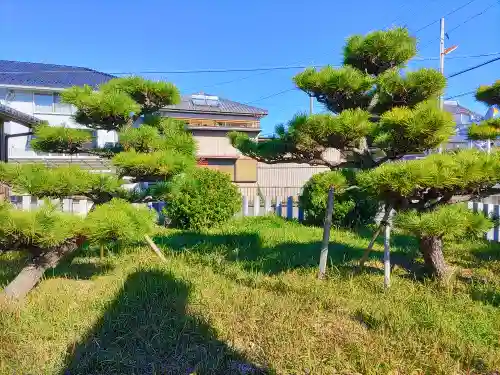神明神社（上中町長間）の自然