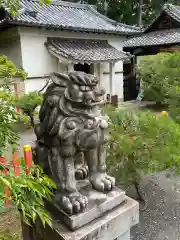 建勲神社の狛犬