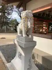 泊神社の狛犬