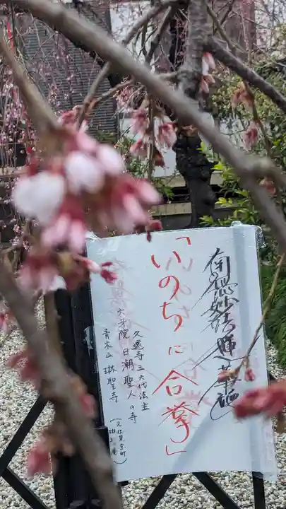 琳聖寺(京都府)