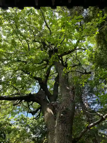 皇大明神社（中牧）(愛知県)