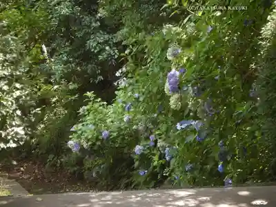 太平山神社(栃木県)