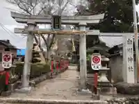 白川神社の鳥居