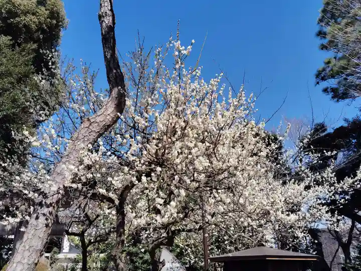 品川神社(東京都)