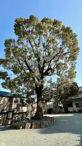 呉服神社(大阪府)