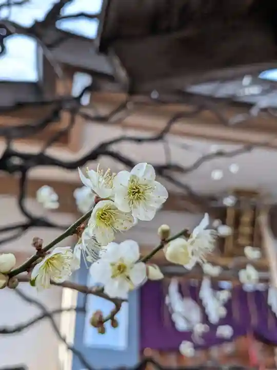 穏田神社(東京都)
