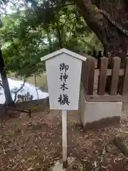 安房神社(千葉県)