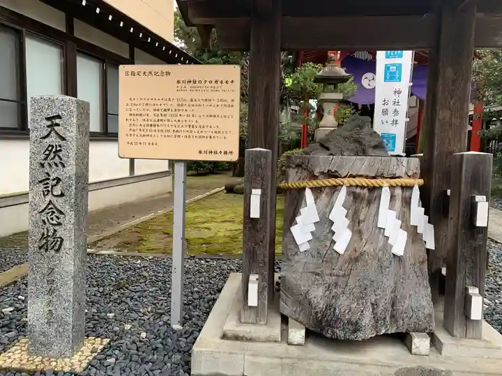 葛飾氷川神社のその他建物