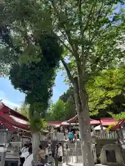 金蛇水神社(宮城県)