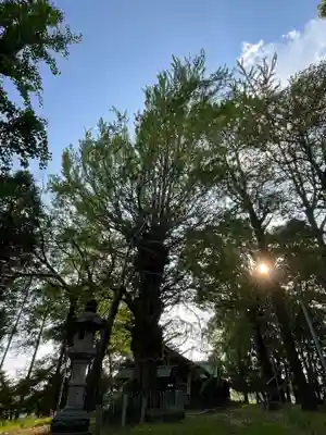 鞆江神社（明地）(愛知県)