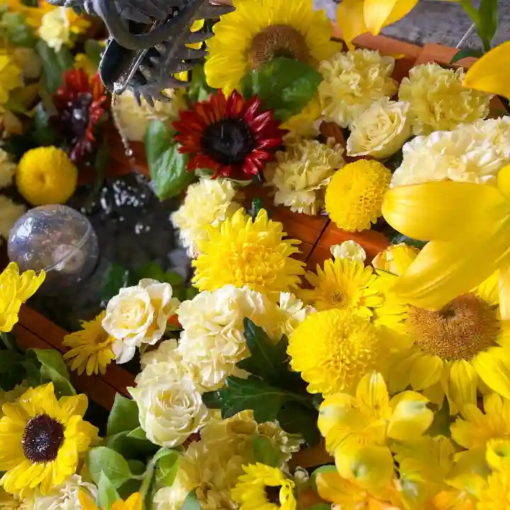 札幌諏訪神社の手水舎