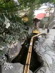 川越熊野神社の庭園