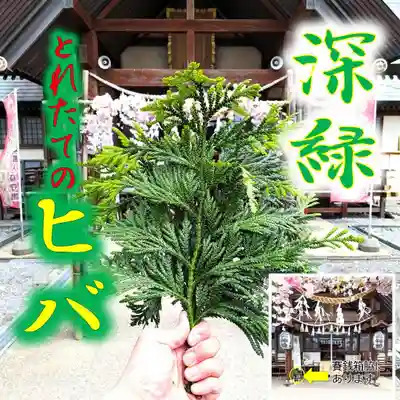 七重浜海津見神社(北海道)