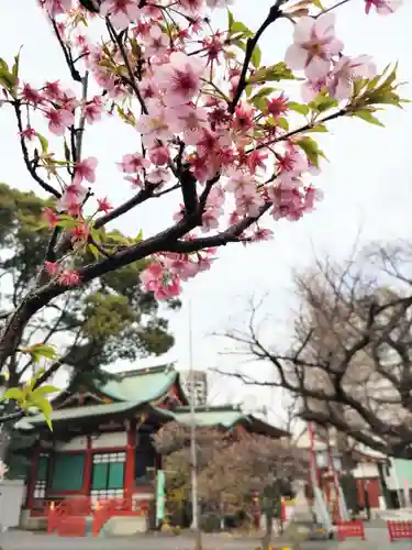 居木神社の自然
