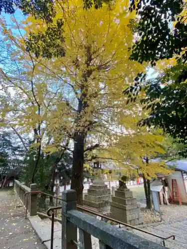 石清水八幡宮の自然