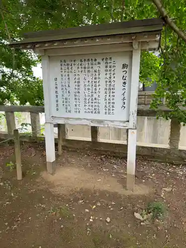 鹿嶋神社(茨城県)