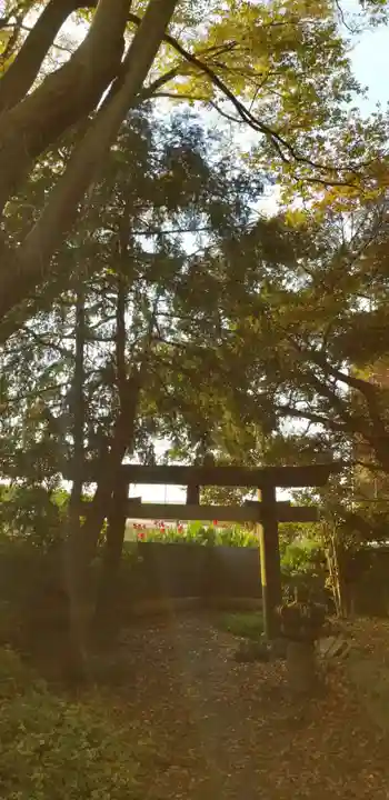 葛西神社の鳥居