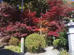 崇禅寺の庭園