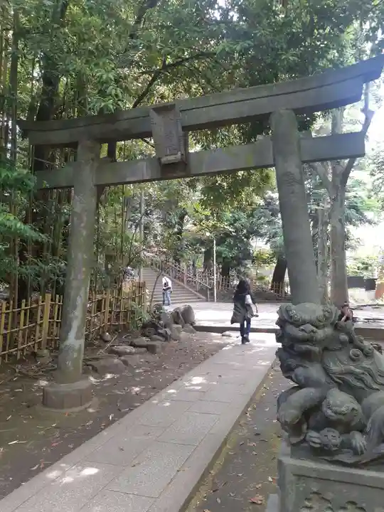 渋谷氷川神社の鳥居