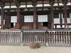 興福寺の本殿