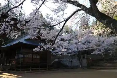 土津神社|こどもと出世の神さまの本殿・本堂