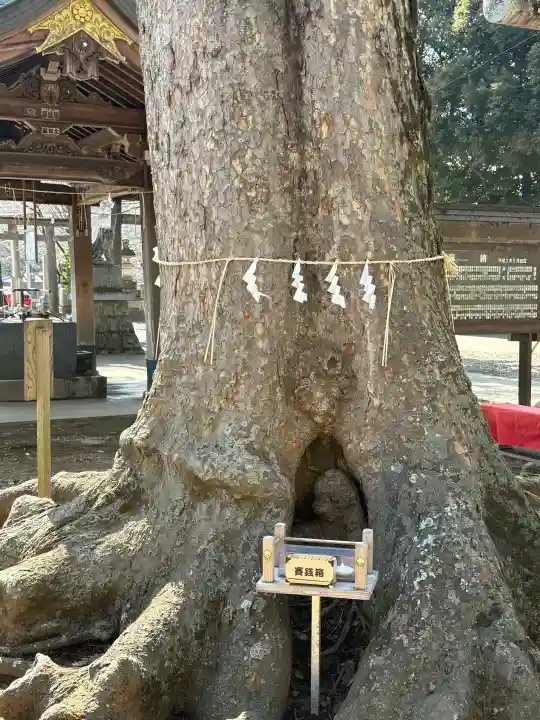 一言主神社の{uncategorized: "未分類", other: "その他", undefined: "問題あり", building: "その他建物", grave: "お墓", sacred_gate: "鳥居", guardian: "狛犬", statue: "像", buddha: "仏像", history: "歴史", nature: "自然", garden: "庭園", animal: "動物", pagoda: "塔", temizu: "手水舎", mountain_gate: "山門・神門", sanctuary: "本殿・本堂", subordinate: "末社・摂社", art: "芸術", scenery: "景色", jizo: "地蔵", ema: "絵馬", goshuin: "御朱印", omikuji: "おみくじ", items: "授与品その他", amulet: "お守り", goshuincho: "御朱印帳", eats: "食事", festival: "お祭り", votive_dance: "神楽", shichigosan: "七五三参", wedding: "結婚式", experience: "体験その他", initially: "初詣", around: "周辺", anti_infection: "感染症対策"}