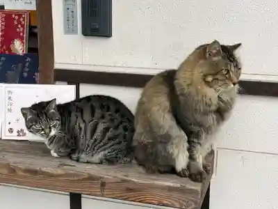 唐澤山神社(栃木県)