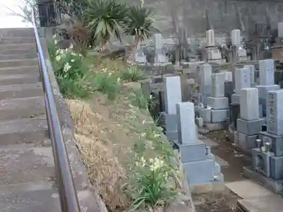 専福寺(東京都)