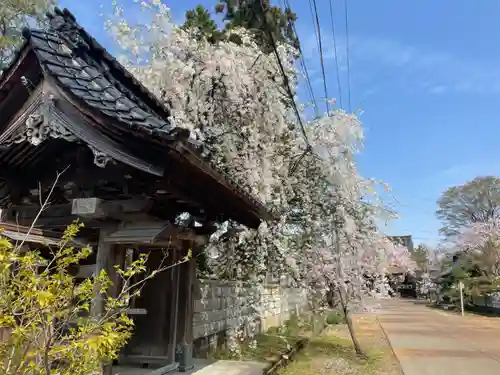 本成寺(新潟県)