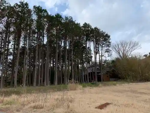 神明神社の自然