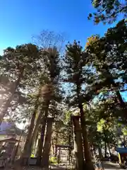 山家神社の自然