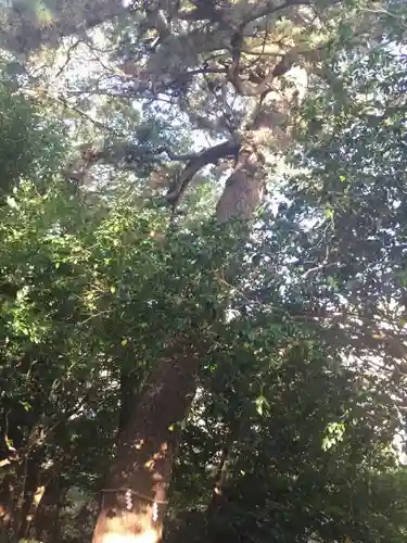 第六天神社のその他建物
