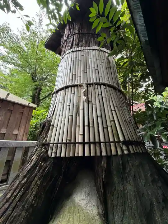 七社神社(東京都)