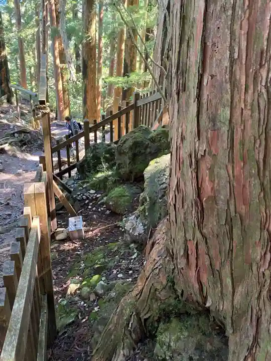 玉置神社(奈良県)