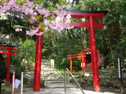 伊古奈比咩命神社の鳥居