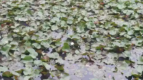 長岡天満宮の庭園