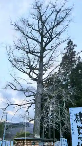 秋保神社の周辺