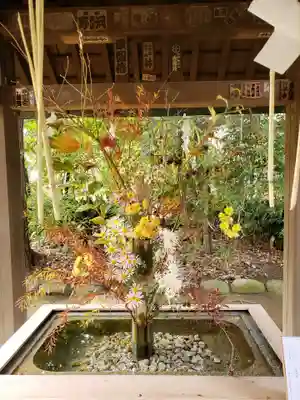 赤坂氷川神社(東京都)