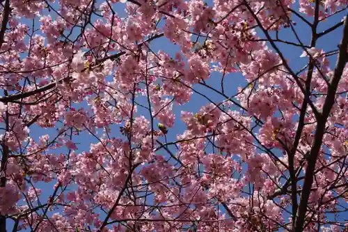 大慈寺(三重県)