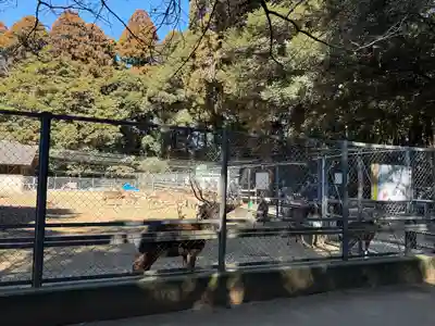 鹿島神宮(茨城県)