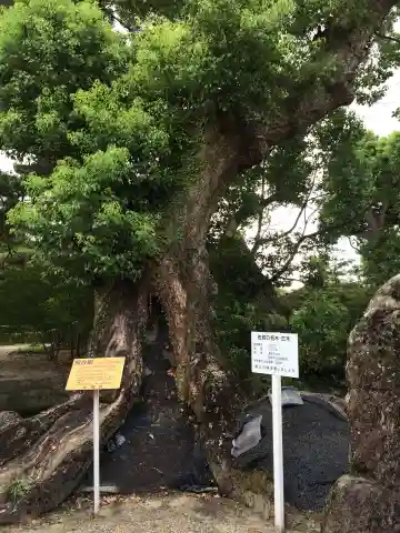 高伝寺(佐賀県)