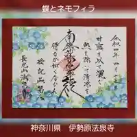 伊勢原 法泉寺の御朱印