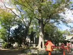 上野総社神社の建物その他