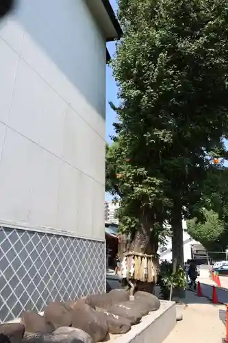 櫛田神社の自然